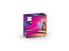 Philips Hue Gradient Lightstrip TV 55&quot;
