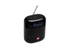 JBL Tuner XL, Bluetooth-Lautsprecher mit Radio, schwarz