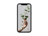 Woodcessories Bio Case antimikrobiell für iPhone 13 Pro, schwarz>