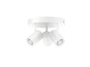 Wiz IMAGEO Spots 3x5W B 22-65K RGB RD dimmbar, weiß