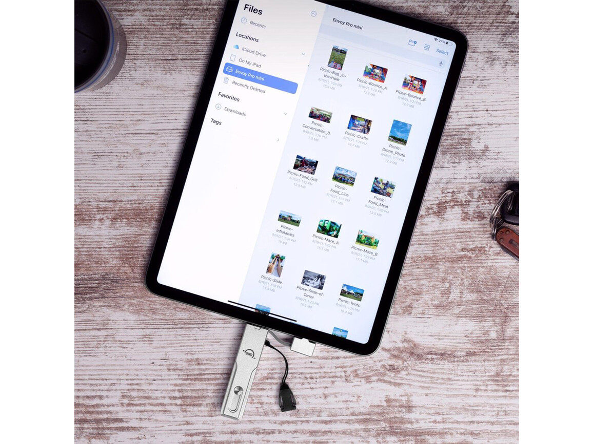 OWC Envoy Pro mini SSD 500GB mit Lanyard, silber