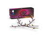 Philips Hue Festavia Lichterkette 40m EU, schwarz