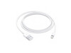 Apple Lightning auf USB Kabel (1m)