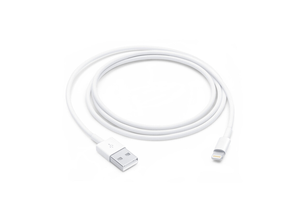 Apple Lightning auf USB Kabel (1m)