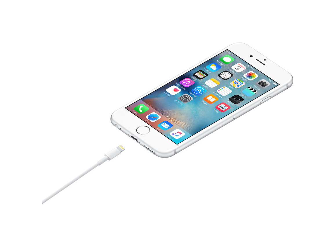 Apple Lightning auf USB Kabel (1m)