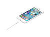 Apple Lightning auf USB Kabel (1m)