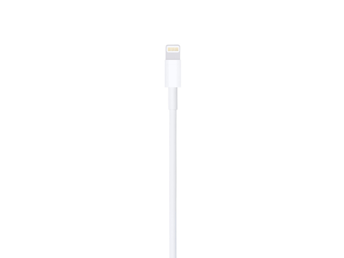 Apple Lightning auf USB Kabel (1m)
