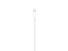Apple Lightning auf USB Kabel (1m)