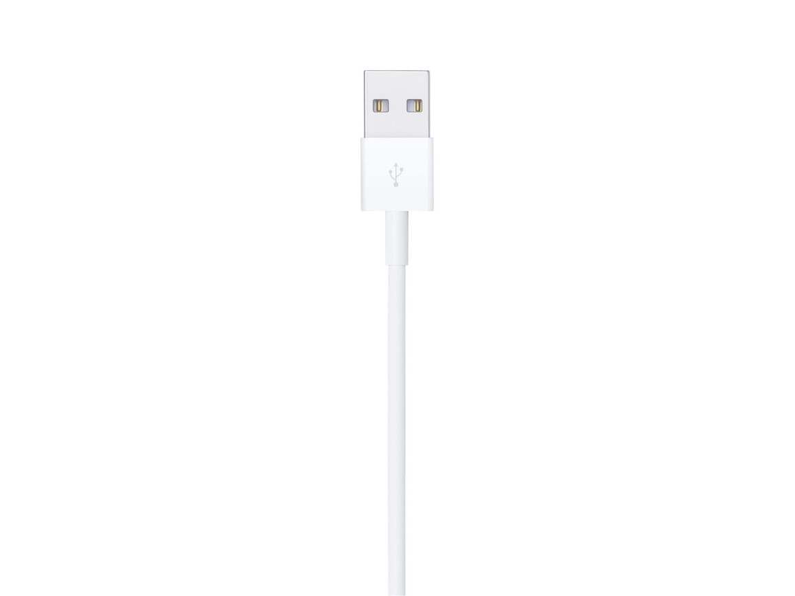 Apple Lightning auf USB Kabel (1m)