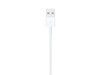 Apple Lightning auf USB Kabel (1m)