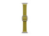 Apple Watch 42mm Moderne Schließe, Chartreuse - medium