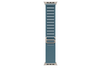 49 mm Alpine Loop Hellblau - Small - Titan Natur