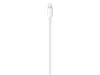 Apple USB-C auf Lightning Kabel (1m)