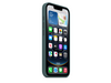 Apple iPhone 16e Silikon Case, seegrün