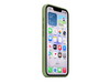 iPhone 17e Silicone Case mit MagSafe, Helles Moos