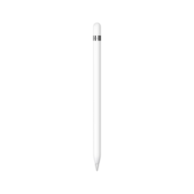 Apple Pencil (1. Generation) - Beinhaltet USB-C auf Apple Pencil Adapter