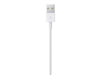 Lightning auf USB Kabel (1 m)