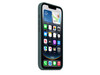 iPhone 16e Silikon Case − Seegrün